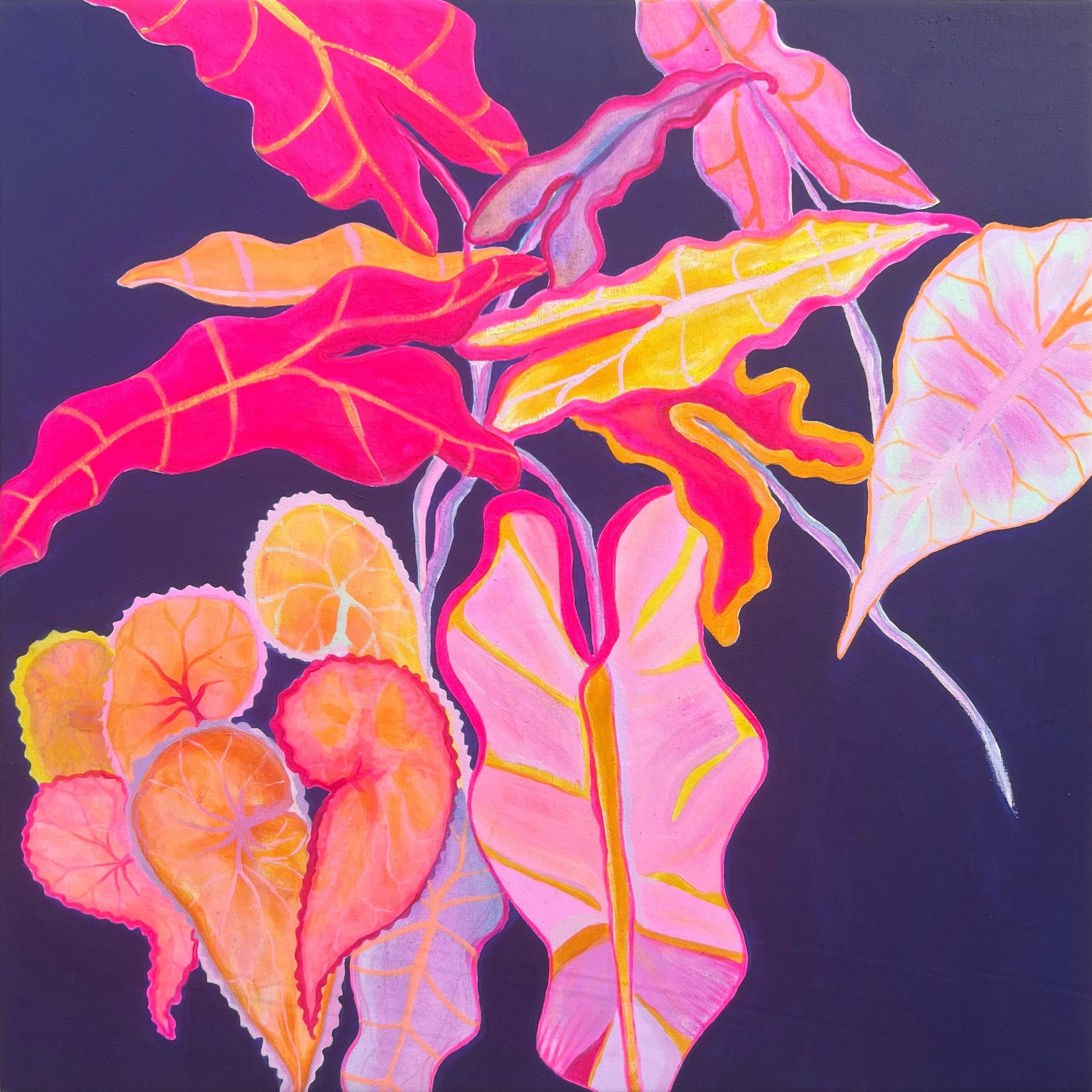 'Begonia, Alocasia Still Life' 70cm x 70cm - Kathryn Sillince Artist